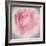 Belle Rose IV-Linda Wood-Framed Giclee Print