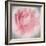 Belle Rose IV-Linda Wood-Framed Giclee Print