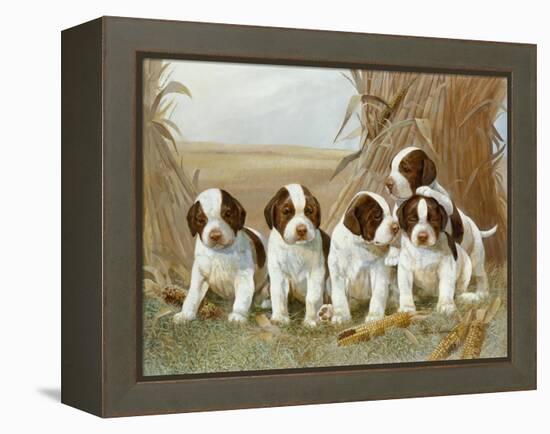 Belle's Pups-Ruane Manning-Framed Stretched Canvas