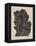 Belle Sauvage III-Eric Gill-Framed Stretched Canvas