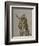 Bellerophon and the Chimaera, C.1609-Inigo Jones-Framed Giclee Print