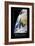 Belleza. Cita Inspiradora Y Póster Motivacional-null-Framed Photographic Print