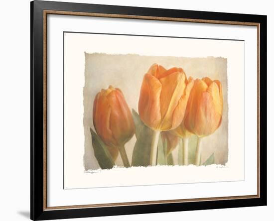 Bellezza I-Amy Melious-Framed Premium Giclee Print