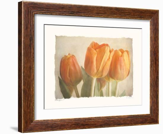 Bellezza I-Amy Melious-Framed Art Print