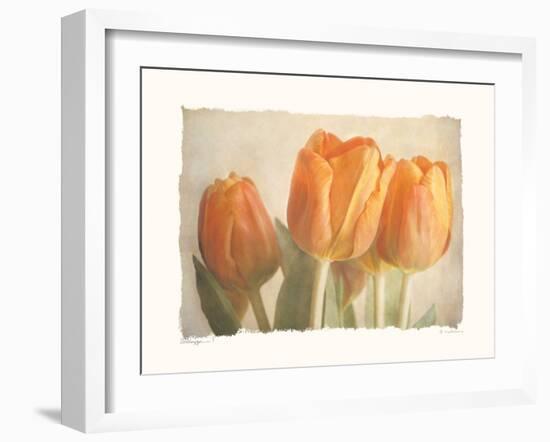 Bellezza I-Amy Melious-Framed Art Print