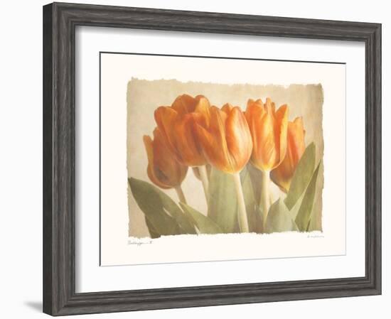 Bellezza II-Amy Melious-Framed Premium Giclee Print