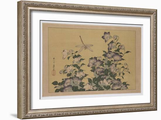 Bellflower and Dragonfly (Colour Woodblock Print)-Katsushika Hokusai-Framed Giclee Print