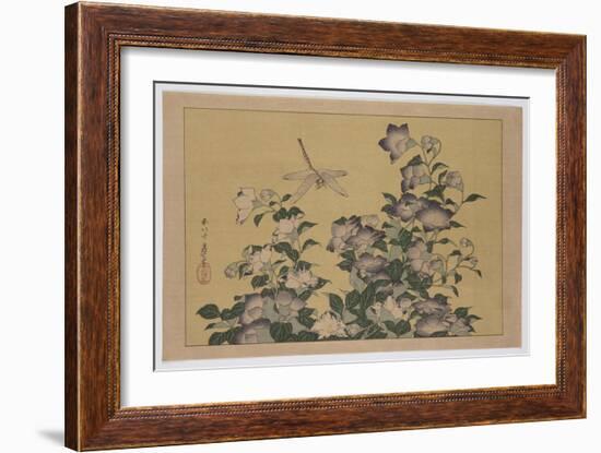 Bellflower and Dragonfly (Colour Woodblock Print)-Katsushika Hokusai-Framed Giclee Print