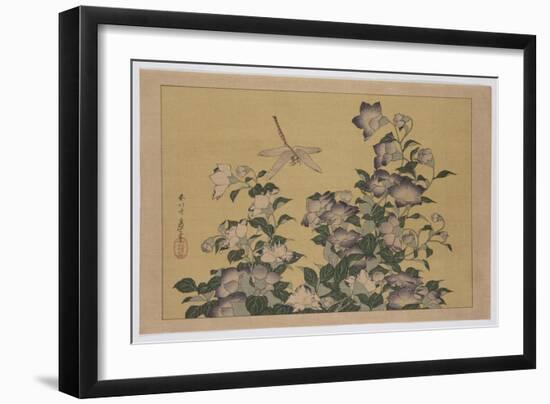 Bellflower and Dragonfly (Colour Woodblock Print)-Katsushika Hokusai-Framed Giclee Print