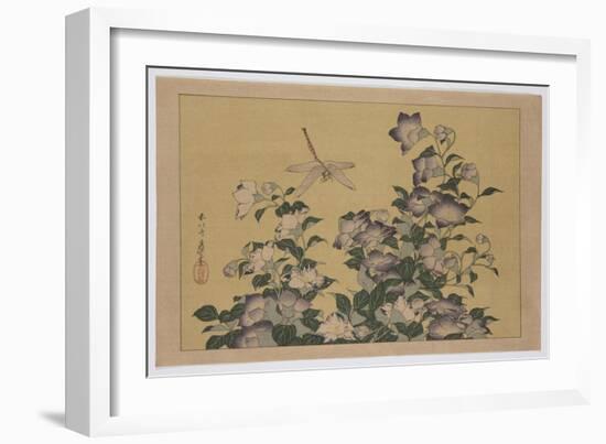 Bellflower and Dragonfly (Colour Woodblock Print)-Katsushika Hokusai-Framed Giclee Print