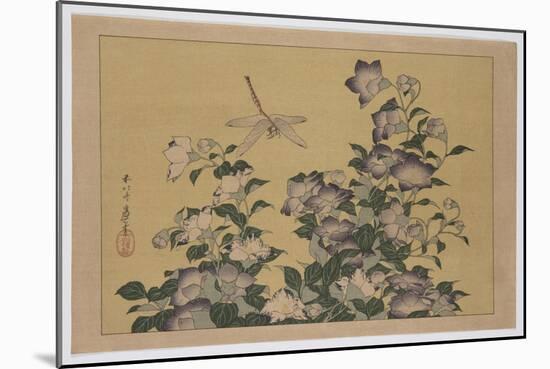 Bellflower and Dragonfly (Colour Woodblock Print)-Katsushika Hokusai-Mounted Giclee Print