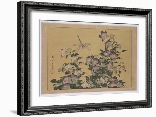 Bellflower and Dragonfly (Colour Woodblock Print)-Katsushika Hokusai-Framed Giclee Print