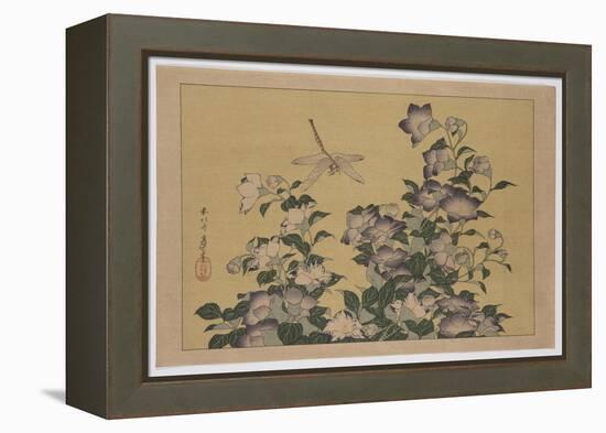 Bellflower and Dragonfly (Colour Woodblock Print)-Katsushika Hokusai-Framed Premier Image Canvas