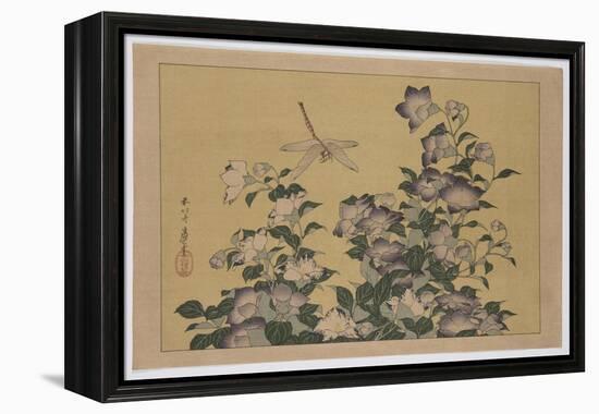 Bellflower and Dragonfly (Colour Woodblock Print)-Katsushika Hokusai-Framed Premier Image Canvas