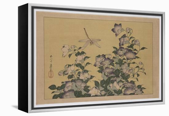 Bellflower and Dragonfly (Colour Woodblock Print)-Katsushika Hokusai-Framed Premier Image Canvas