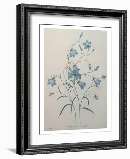 Bellflower-Pierre-Joseph Redoute-Framed Art Print