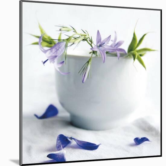 Bellflowers-Amelie Vuillon-Mounted Art Print