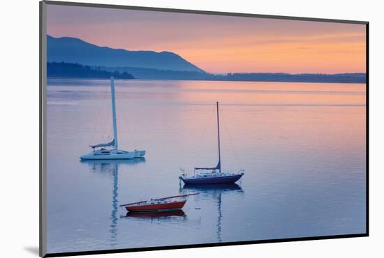 Bellingham Bay-Alan Majchrowicz-Mounted Photographic Print