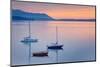 Bellingham Bay-Alan Majchrowicz-Mounted Photographic Print