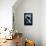 Bellingham, Washington - Orca and Calf Scratchboard-Lantern Press-Framed Stretched Canvas displayed on a wall