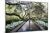 Bellingrath Gardens And Home-Carol Highsmith-Mounted Art Print