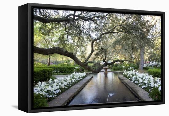 Bellingrath Gardens And Home-Carol Highsmith-Framed Stretched Canvas