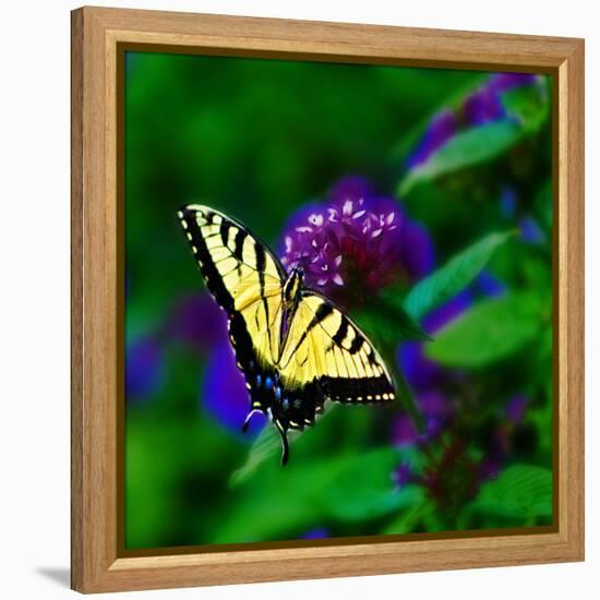 Bellingrath Gardens in Theodore, Alabama, USA-Joe Restuccia III-Framed Premier Image Canvas