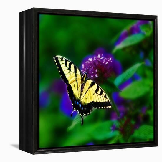 Bellingrath Gardens in Theodore, Alabama, USA-Joe Restuccia III-Framed Premier Image Canvas