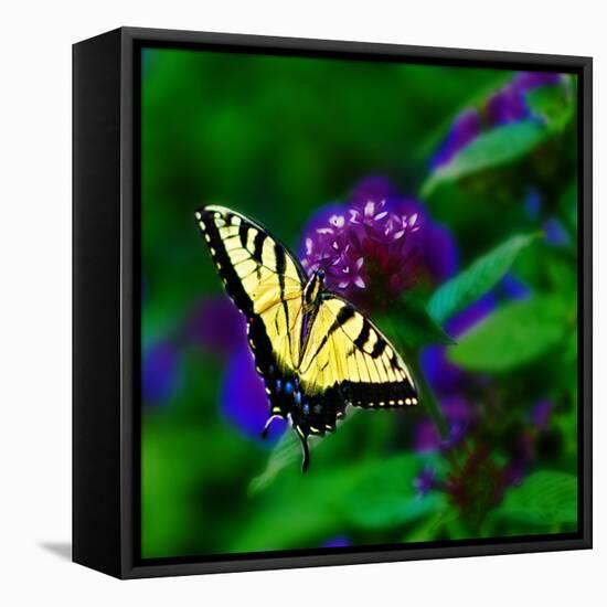 Bellingrath Gardens in Theodore, Alabama, USA-Joe Restuccia III-Framed Premier Image Canvas