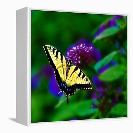 Bellingrath Gardens in Theodore, Alabama, USA-Joe Restuccia III-Framed Premier Image Canvas