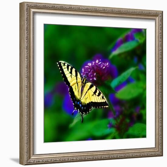 Bellingrath Gardens in Theodore, Alabama, USA-Joe Restuccia III-Framed Photographic Print