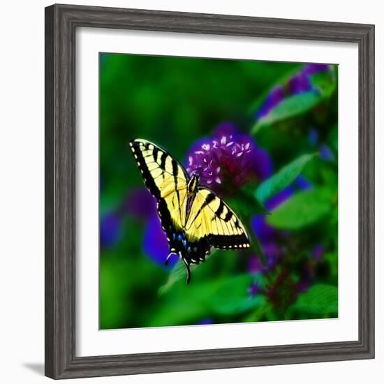 Bellingrath Gardens in Theodore, Alabama, USA-Joe Restuccia III-Framed Photographic Print