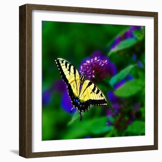 Bellingrath Gardens in Theodore, Alabama, USA-Joe Restuccia III-Framed Photographic Print