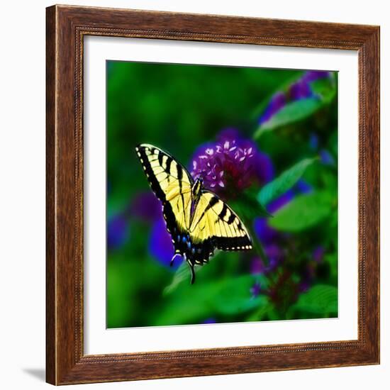 Bellingrath Gardens in Theodore, Alabama, USA-Joe Restuccia III-Framed Photographic Print