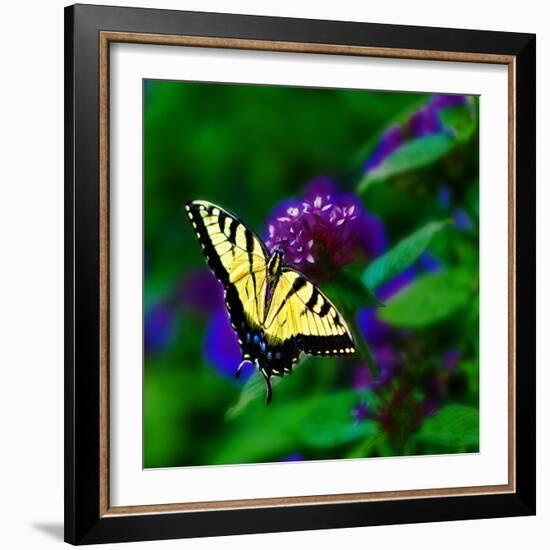 Bellingrath Gardens in Theodore, Alabama, USA-Joe Restuccia III-Framed Photographic Print