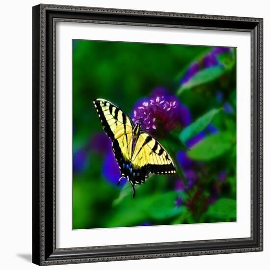 Bellingrath Gardens in Theodore, Alabama, USA-Joe Restuccia III-Framed Photographic Print