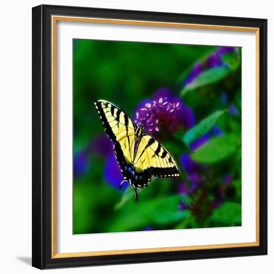 Bellingrath Gardens in Theodore, Alabama, USA-Joe Restuccia III-Framed Photographic Print