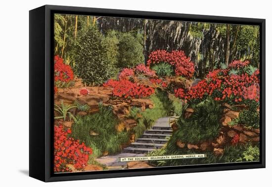 Bellingrath Gardens, Mobile, Alabama-null-Framed Stretched Canvas