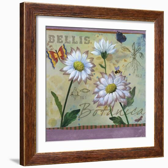 Bellis Botanica-Fiona Stokes-Gilbert-Framed Giclee Print