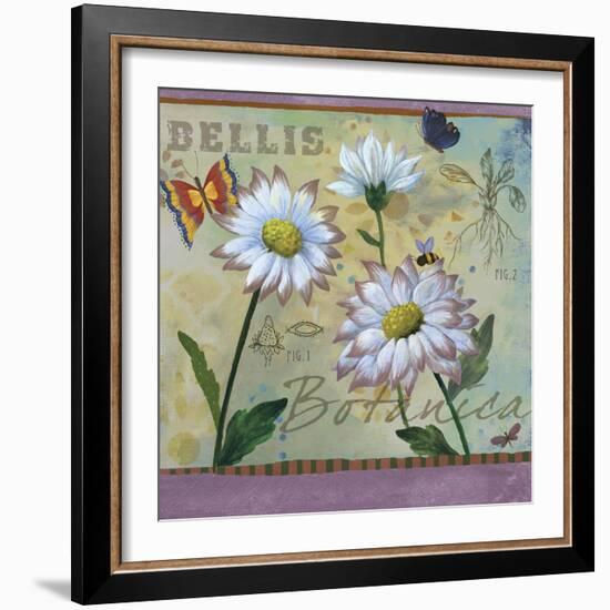 Bellis Botanica-Fiona Stokes-Gilbert-Framed Giclee Print