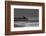 Belmar Pier-James McLoughlin-Framed Photographic Print