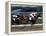 Belmont Park, New York, USA-null-Framed Premier Image Canvas