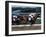 Belmont Park, New York, USA-null-Framed Photographic Print