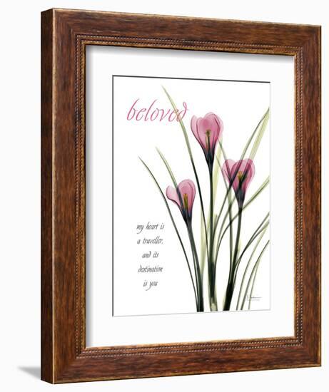 Beloved Crocus-Albert Koetsier-Framed Premium Giclee Print