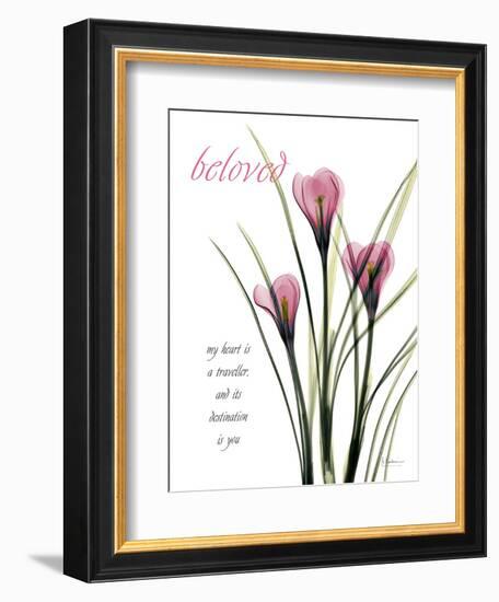 Beloved Crocus-Albert Koetsier-Framed Premium Giclee Print