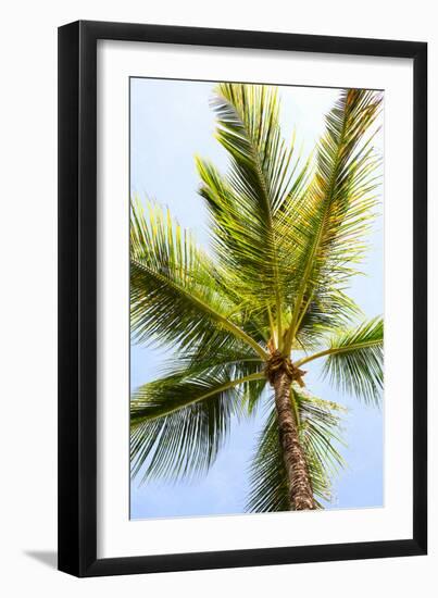 Below the Palms I-Karyn Millet-Framed Photo