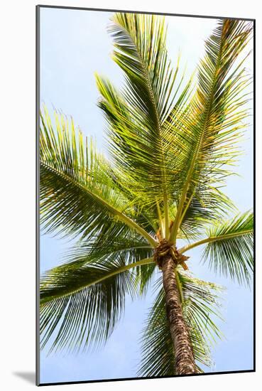 Below the Palms I-Karyn Millet-Mounted Photo