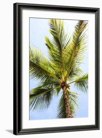 Below the Palms I-Karyn Millet-Framed Photo