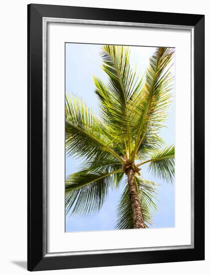 Below the Palms I-Karyn Millet-Framed Photo