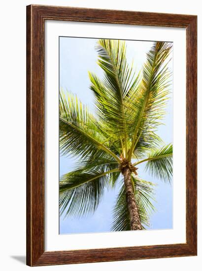 Below the Palms I-Karyn Millet-Framed Photo